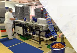 Food processing conveyor belts: ensuring the hygiene of your sites and the safety of your team